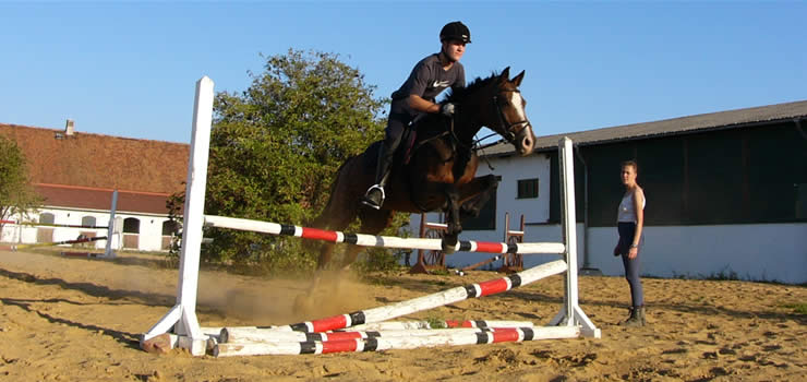 Reitausbildung Springreiten