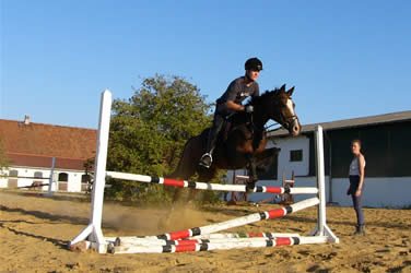 Reitplatz - Springreitausbildung